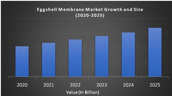 Eggshell Membrane Market